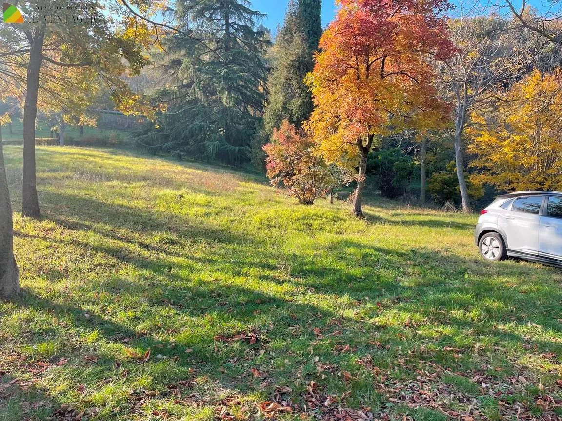 Immagine per Rustico in vendita a Sassuolo