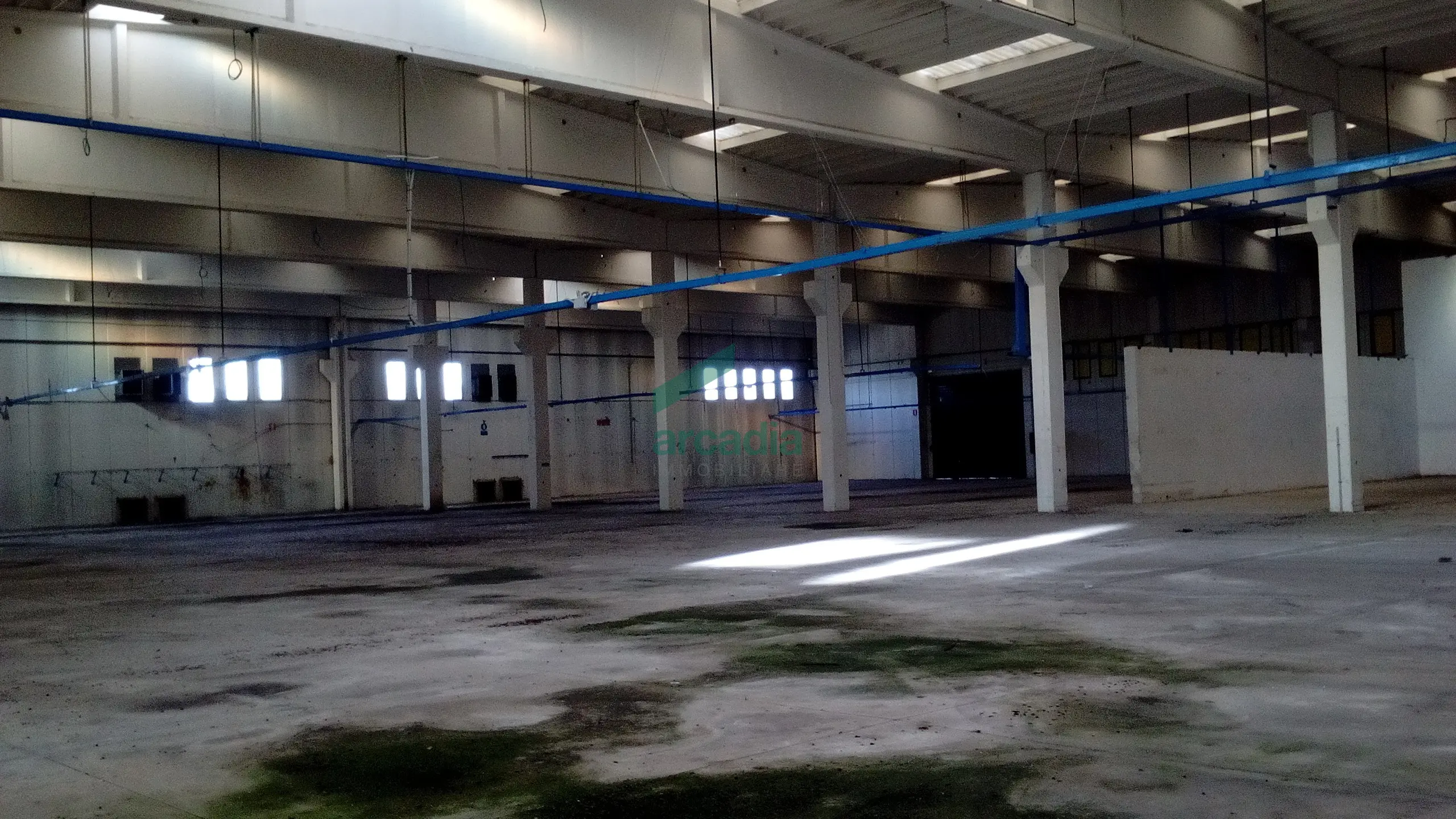 Immagine per Industriale in affitto a Modugno via Sp 231