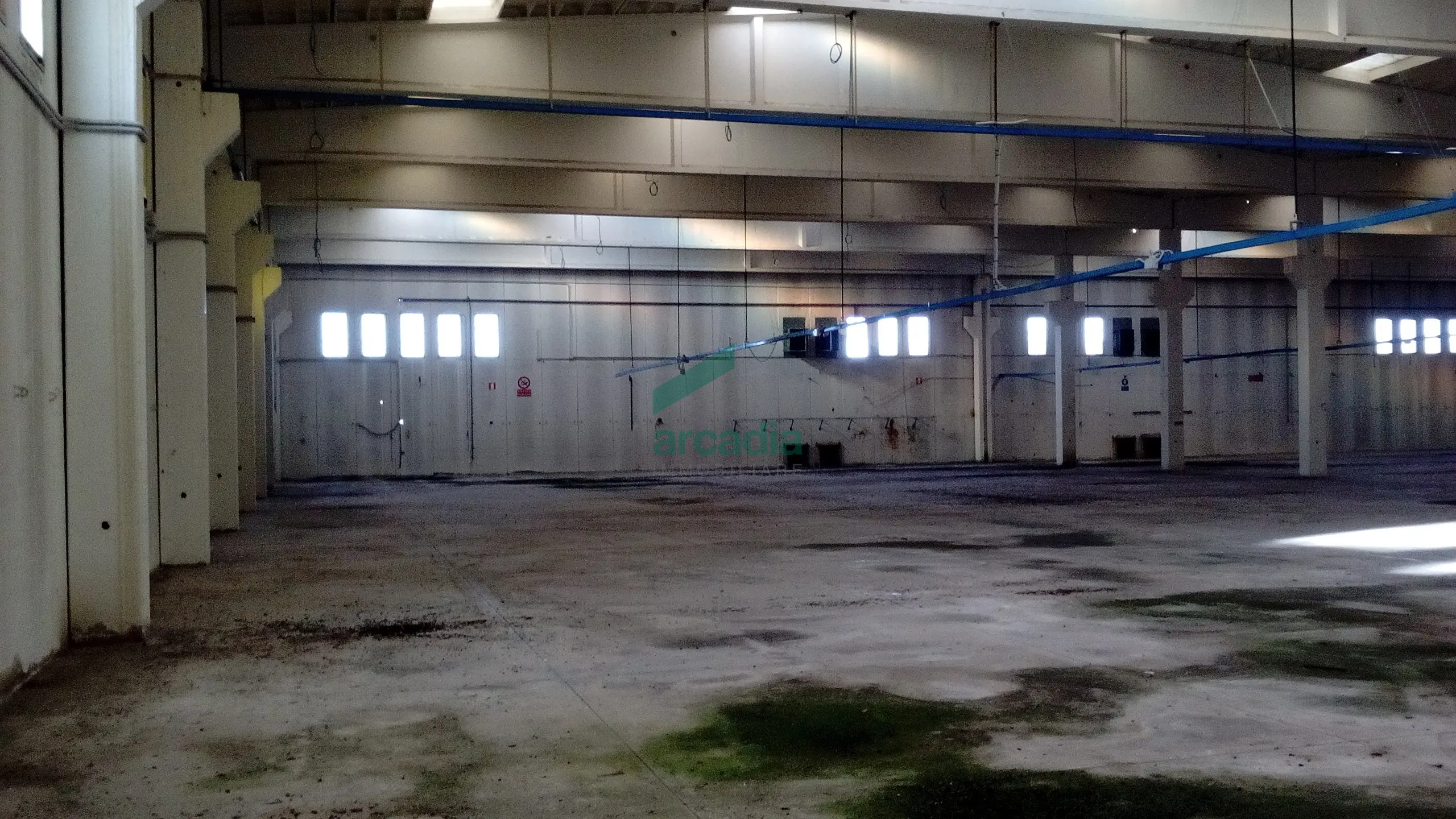 Immagine per Industriale in affitto a Modugno via Sp 231