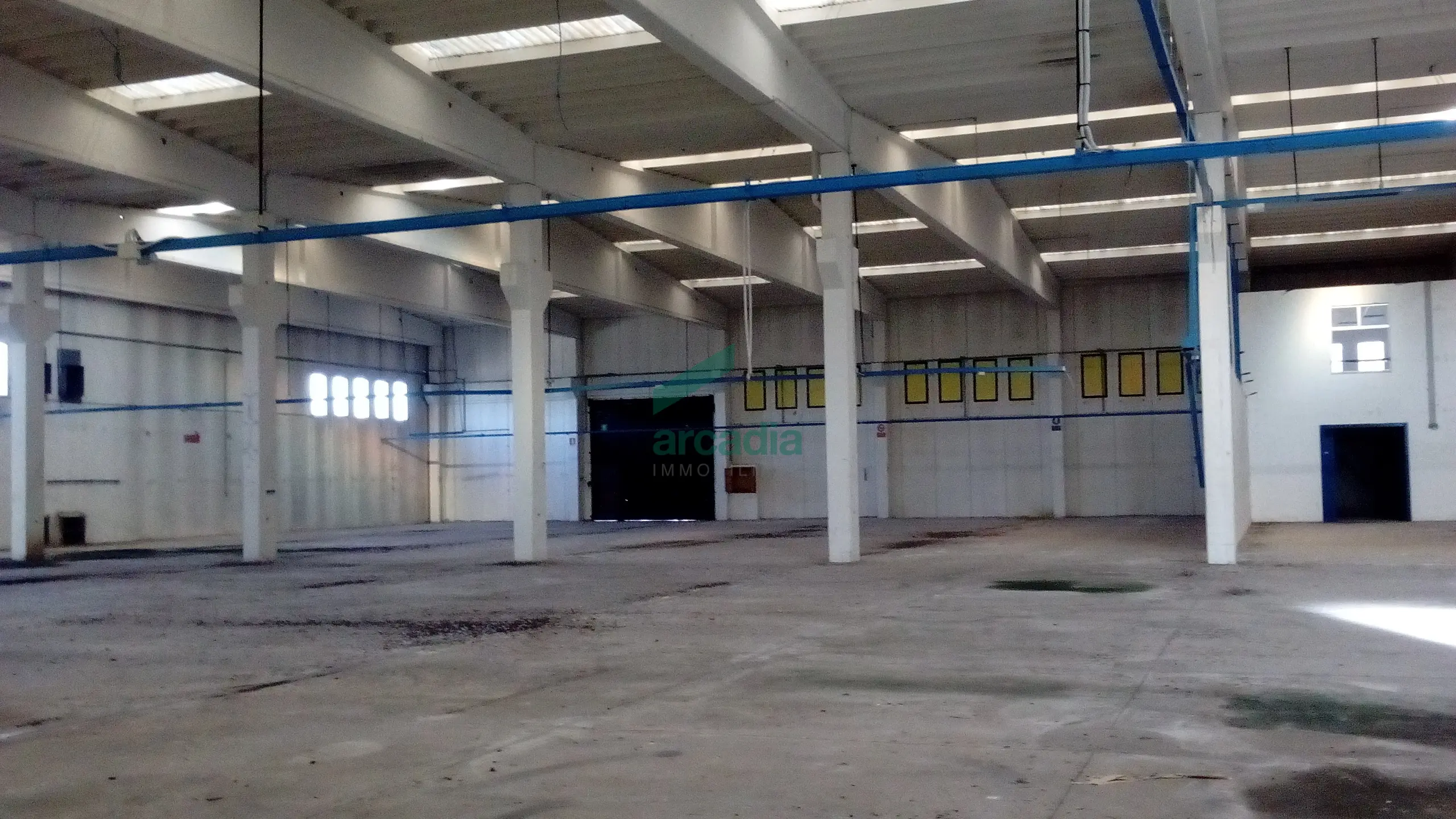 Immagine per Industriale in affitto a Modugno via Sp 231