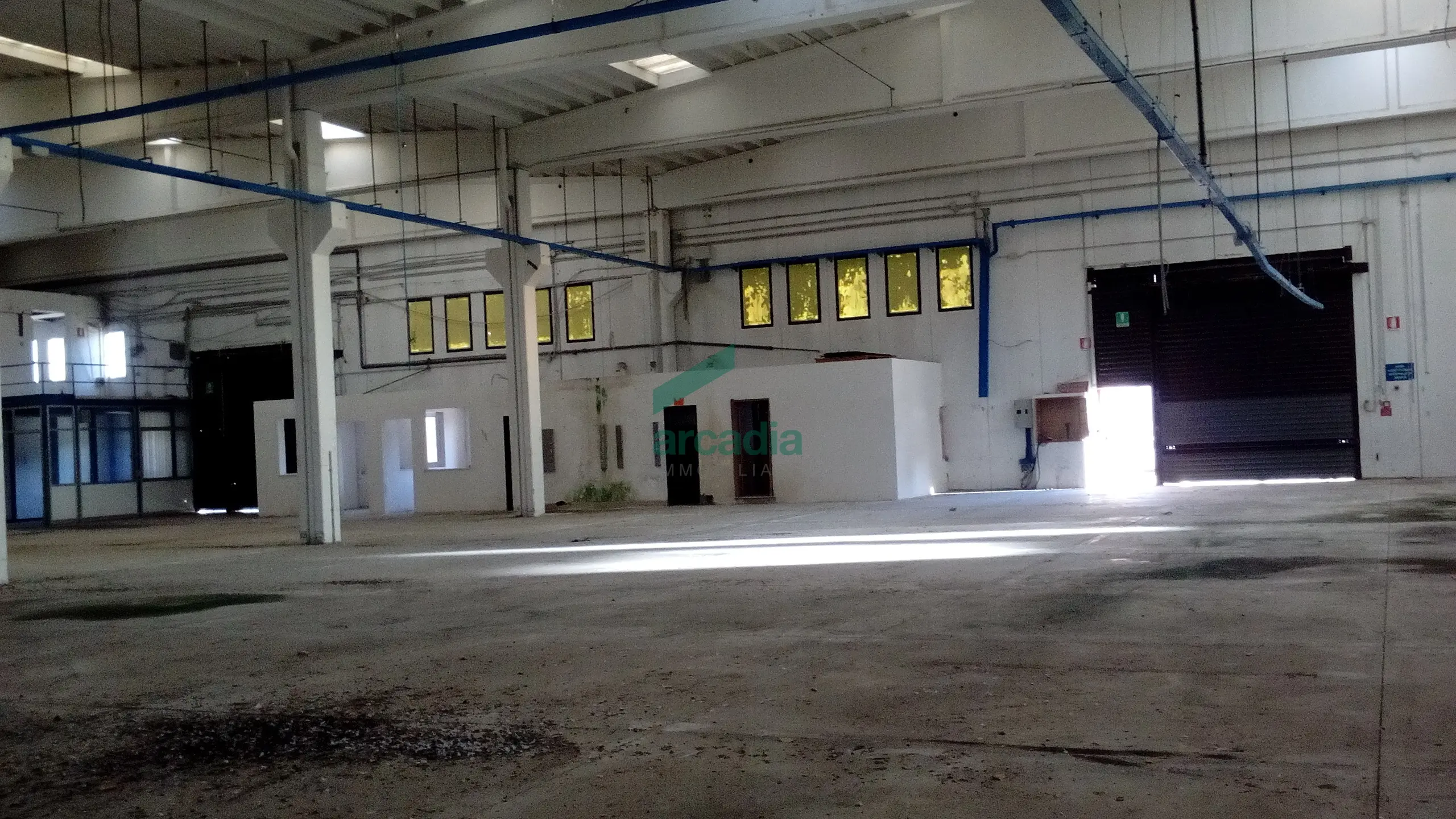 Immagine per Industriale in affitto a Modugno via Sp 231