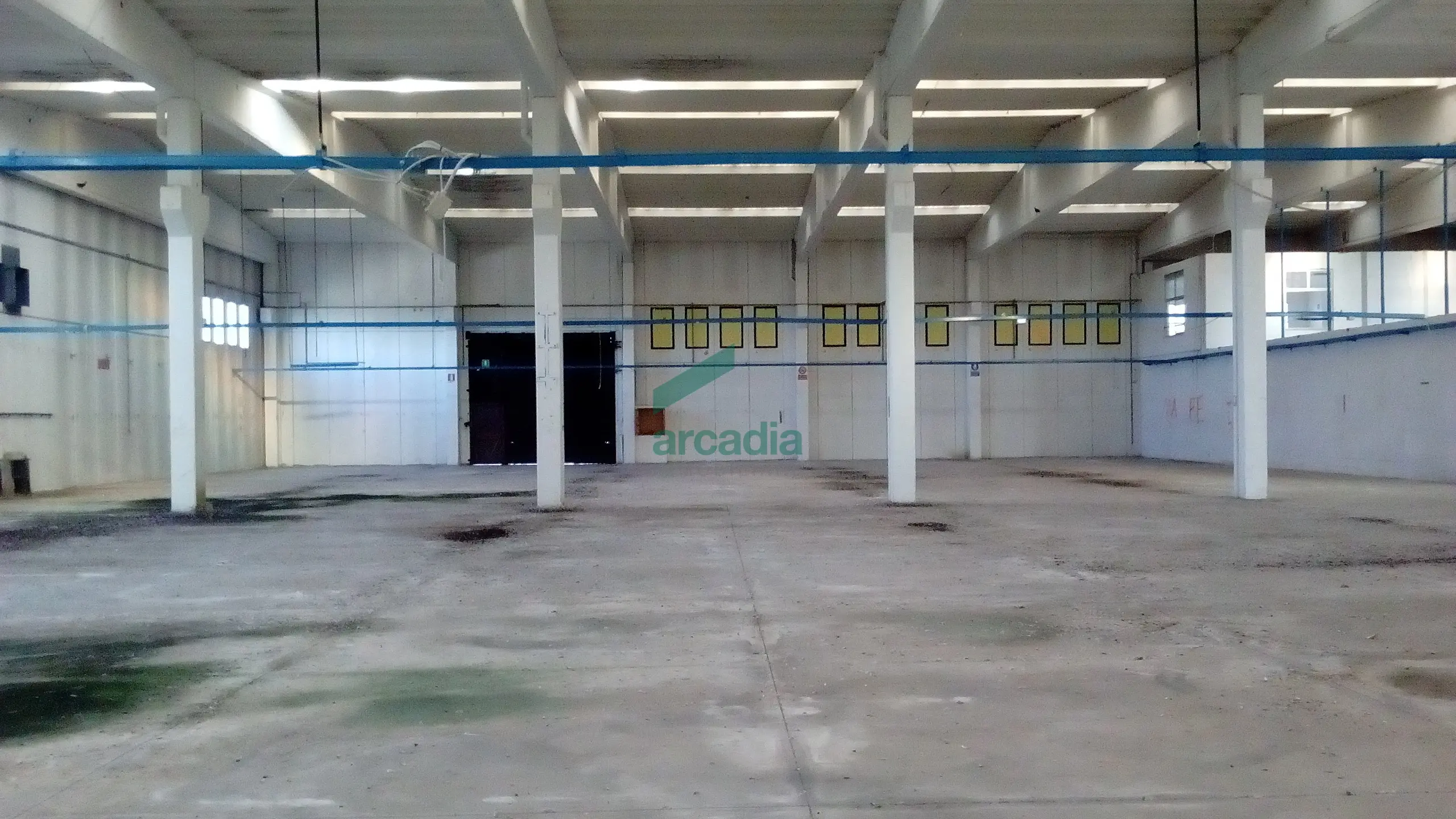 Immagine per Industriale in affitto a Modugno via Sp 231