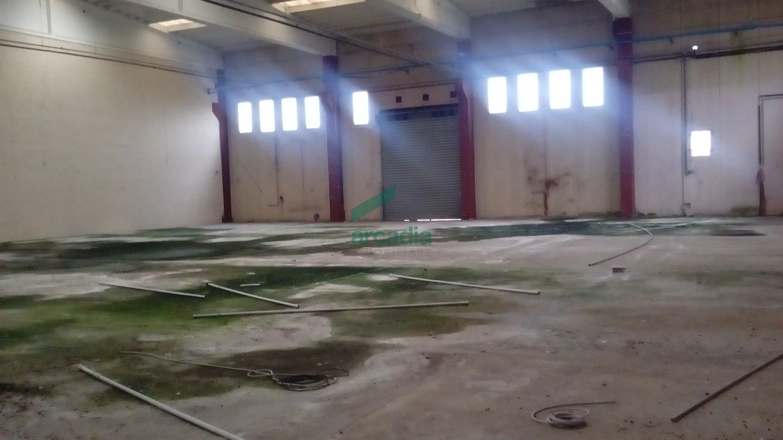 Immagine per Industriale in affitto a Bitonto via Sp 231
