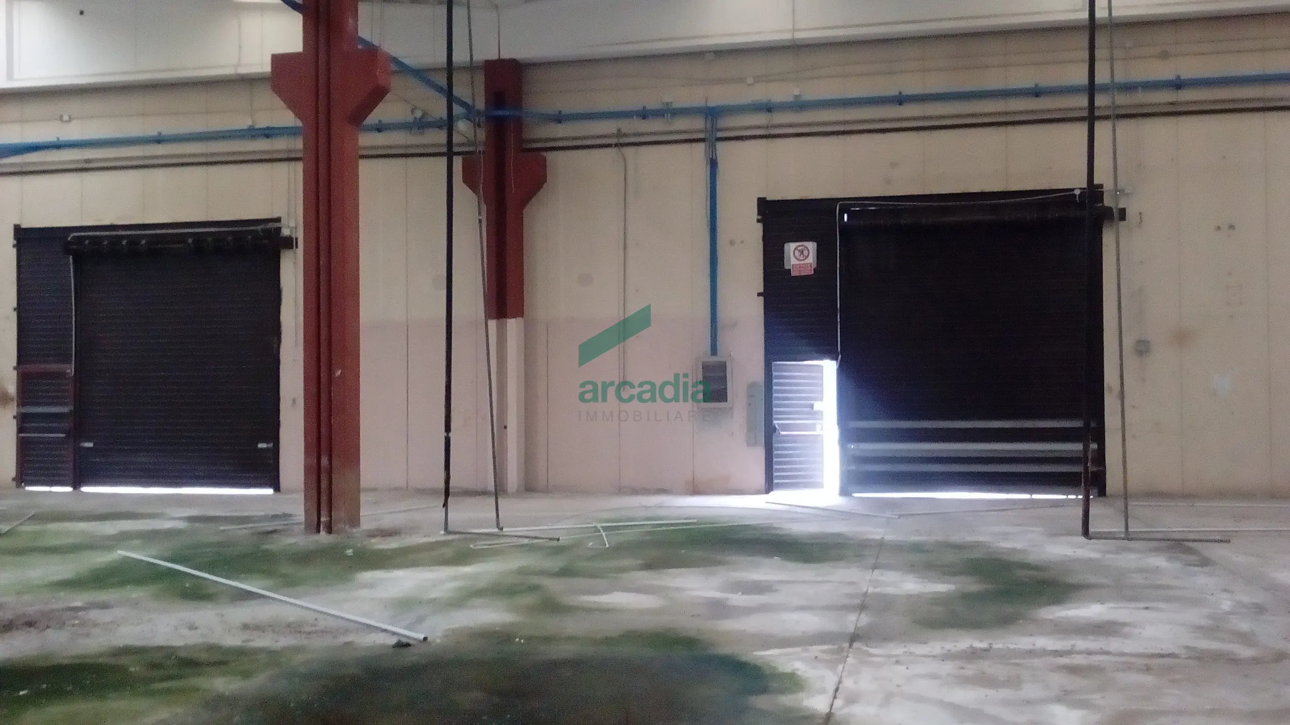 Immagine per Industriale in affitto a Bitonto via Sp 231