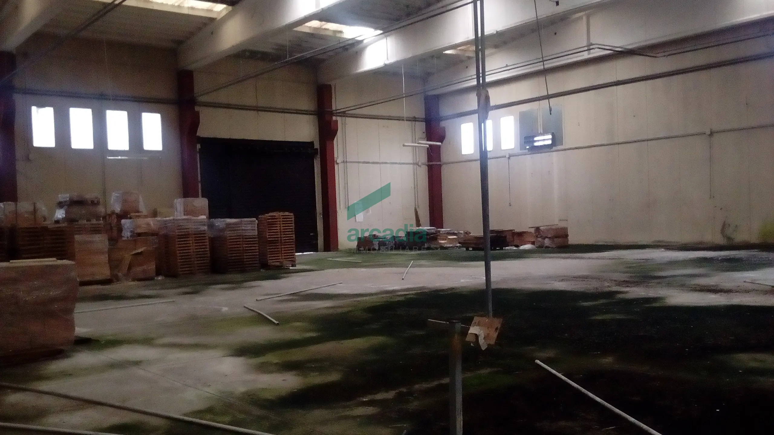 Immagine per Industriale in affitto a Bitonto via Sp 231
