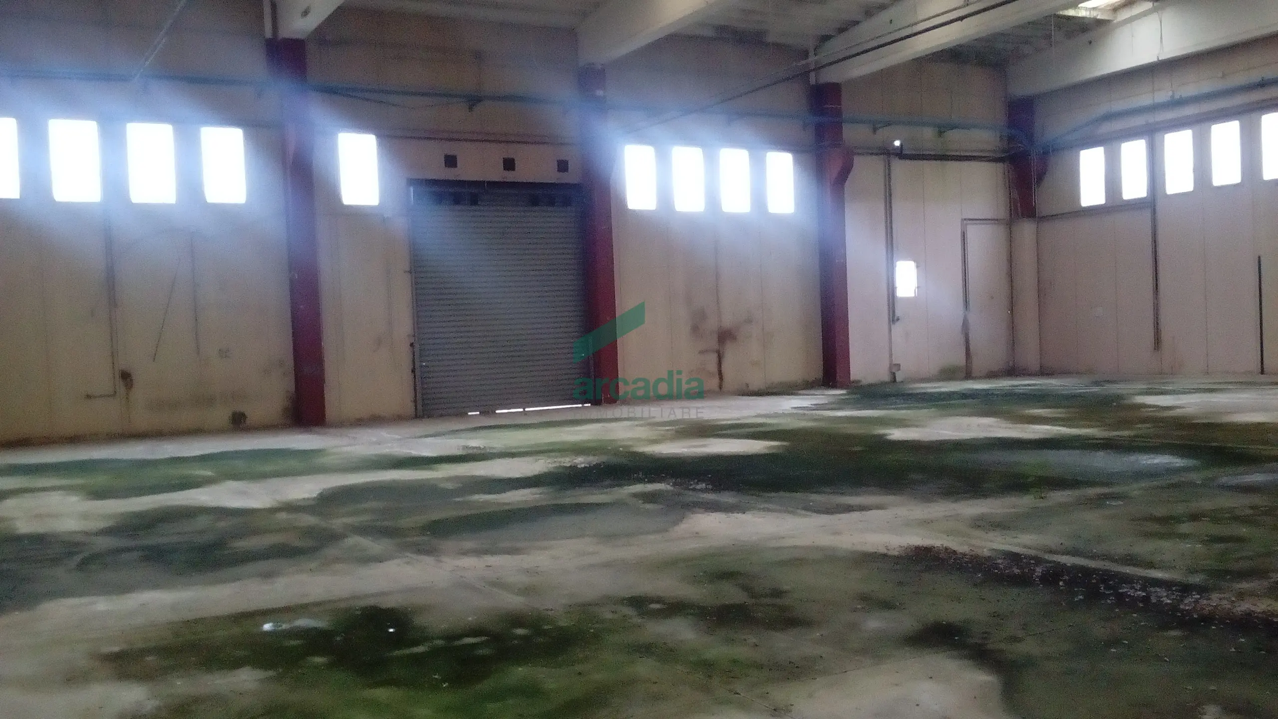 Immagine per Industriale in affitto a Bitonto via Sp 231