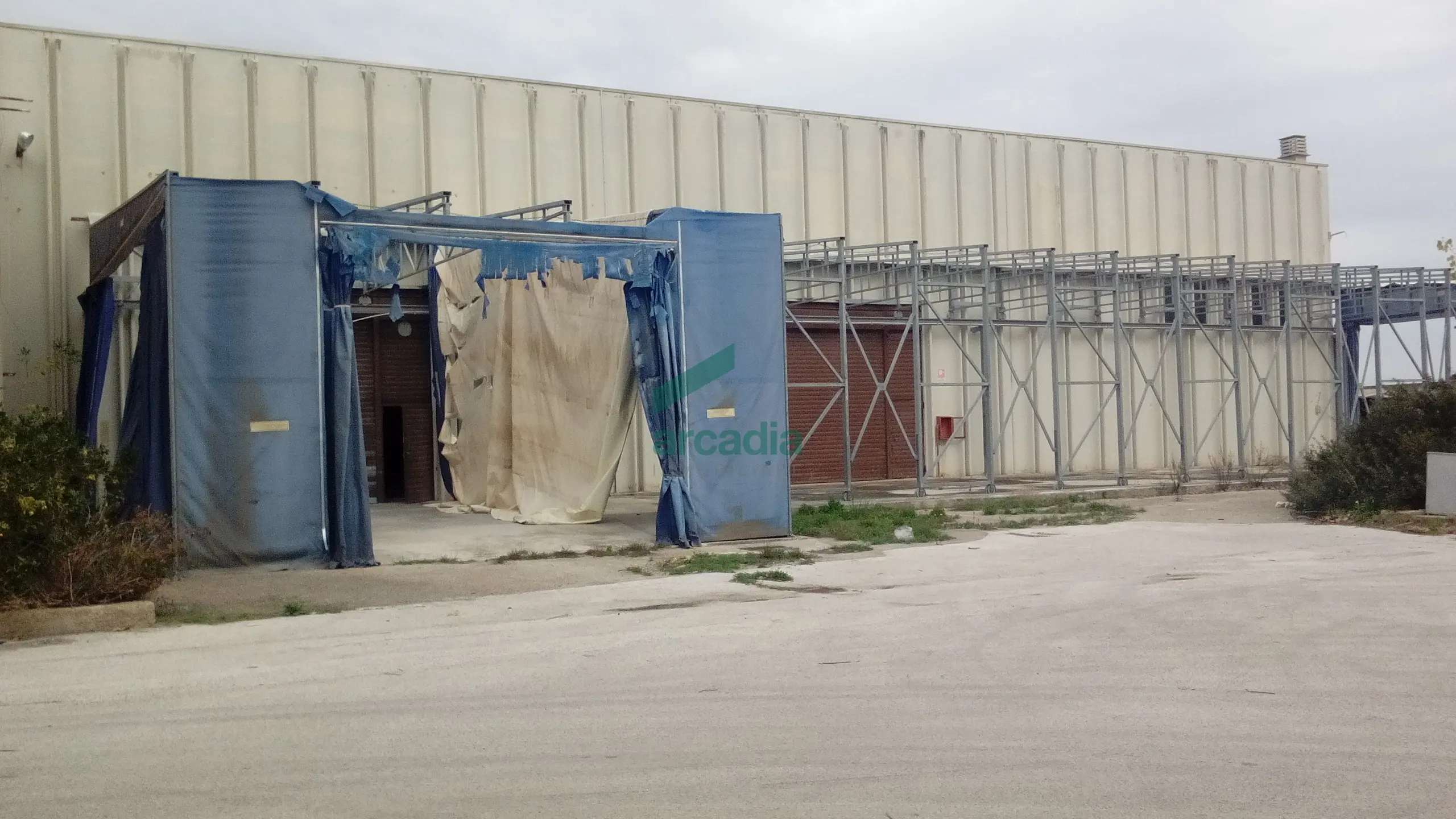 Immagine per Industriale in affitto a Bitonto via Sp 231