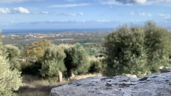 Casale via Contrada Torchiano, Monopoli