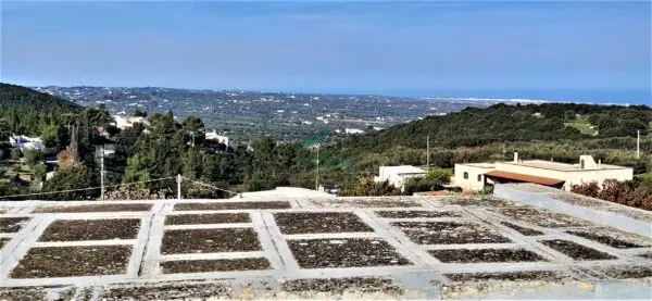 Casale via Contrada San Nicola 111a, Monopoli
