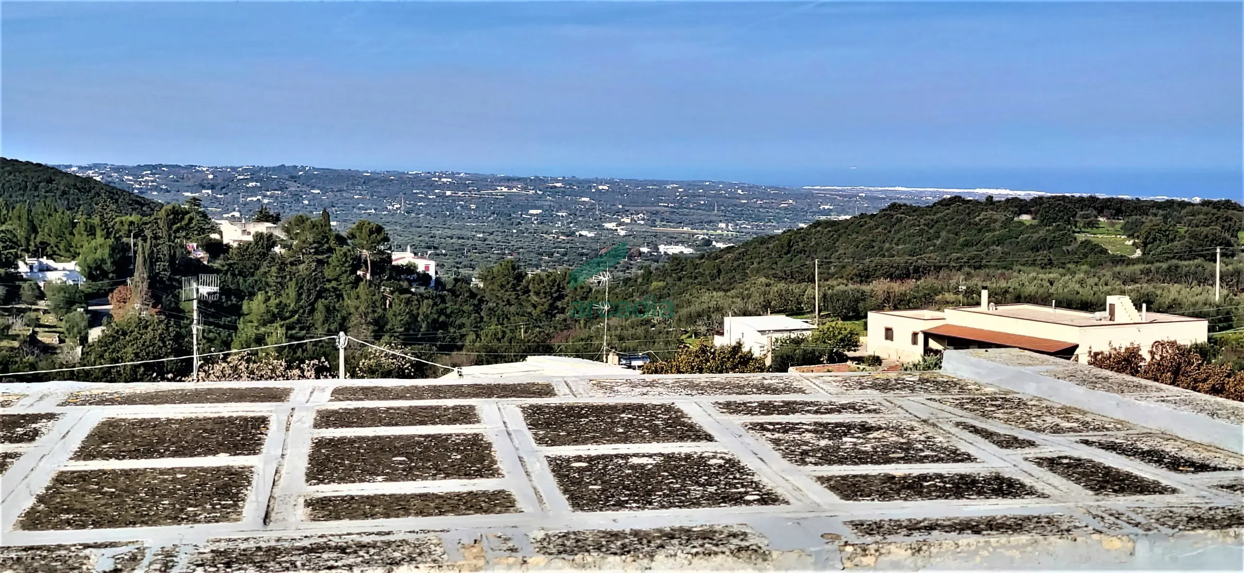 Immagine per Casale in vendita a Monopoli via Contrada San Nicola 111a