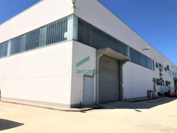 Industriale via Delle Magnolie 8, Modugno
