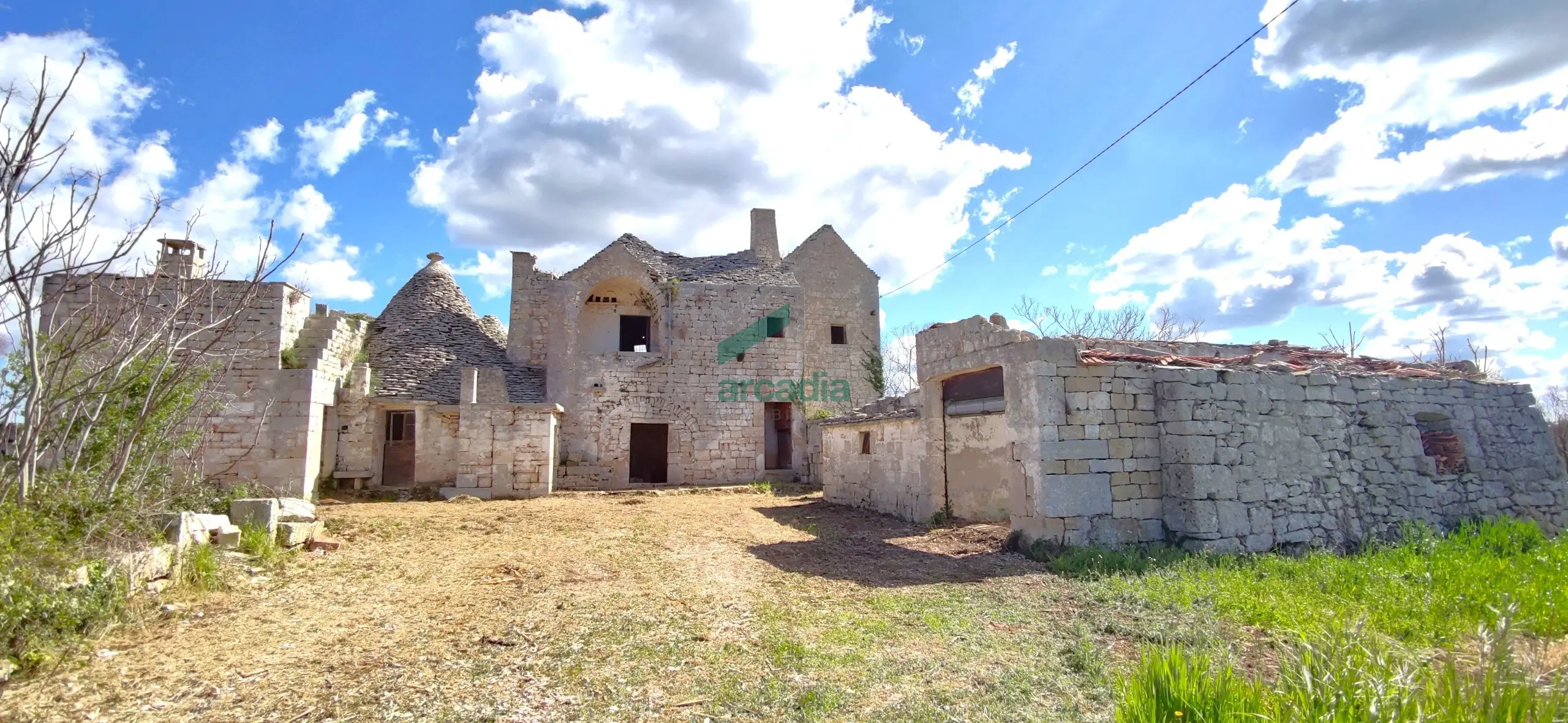 Immagine per Casale in vendita a Alberobello via Bosco Selva 24