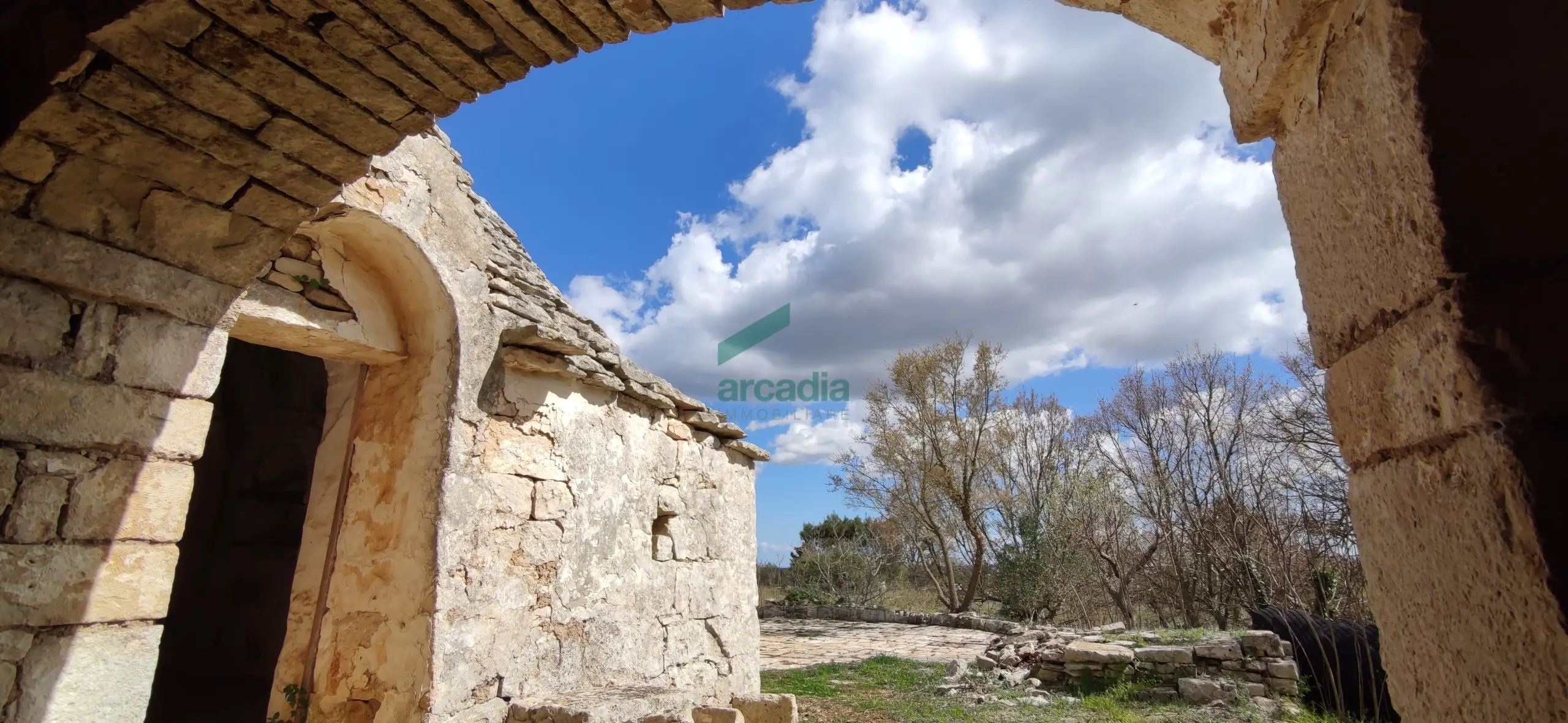 Immagine per Casale in vendita a Alberobello via Bosco Selva 24