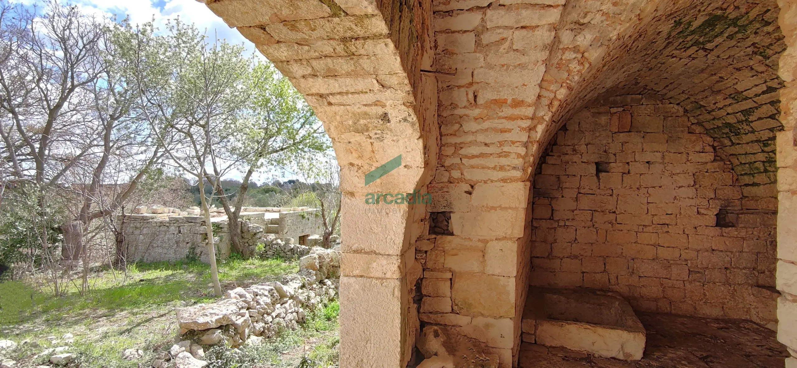 Immagine per Casale in vendita a Alberobello via Bosco Selva 24