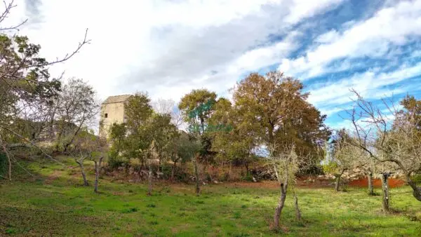 Casale via Bosco Selva 24, Alberobello