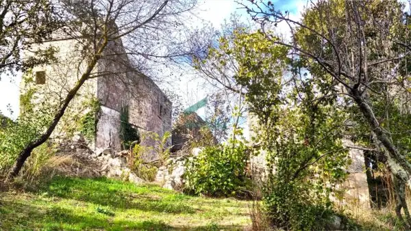 Casale via Bosco Selva 24, Alberobello