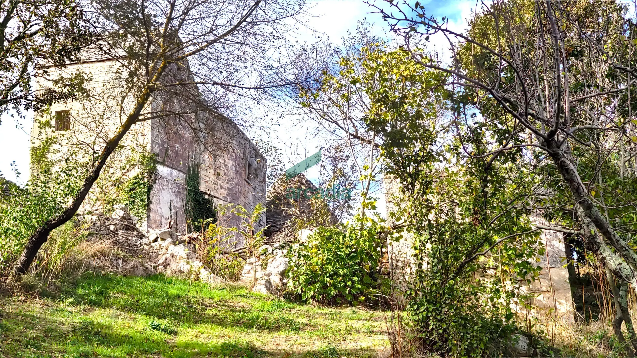 Immagine per Casale in vendita a Alberobello via Bosco Selva 24