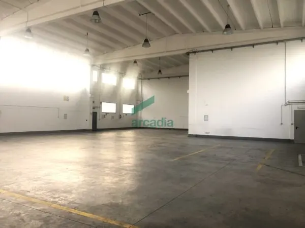 Immagine per Industriale in vendita a Modugno via Delle Magnolie 8