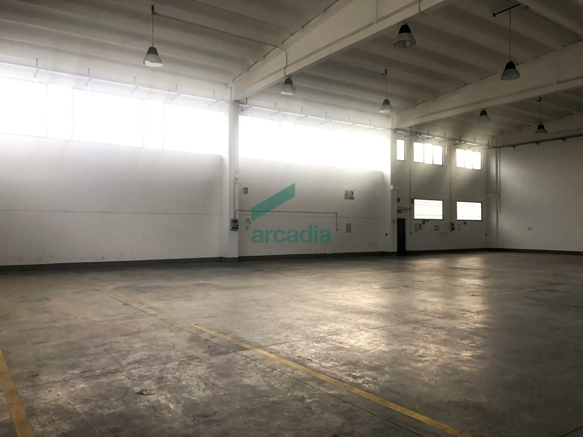 Immagine per Industriale in vendita a Modugno via Delle Magnolie 8