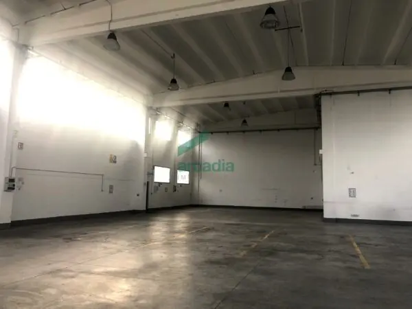 Immagine per Industriale in vendita a Modugno via Delle Magnolie 8