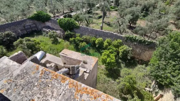 Casale 12, Giovinazzo