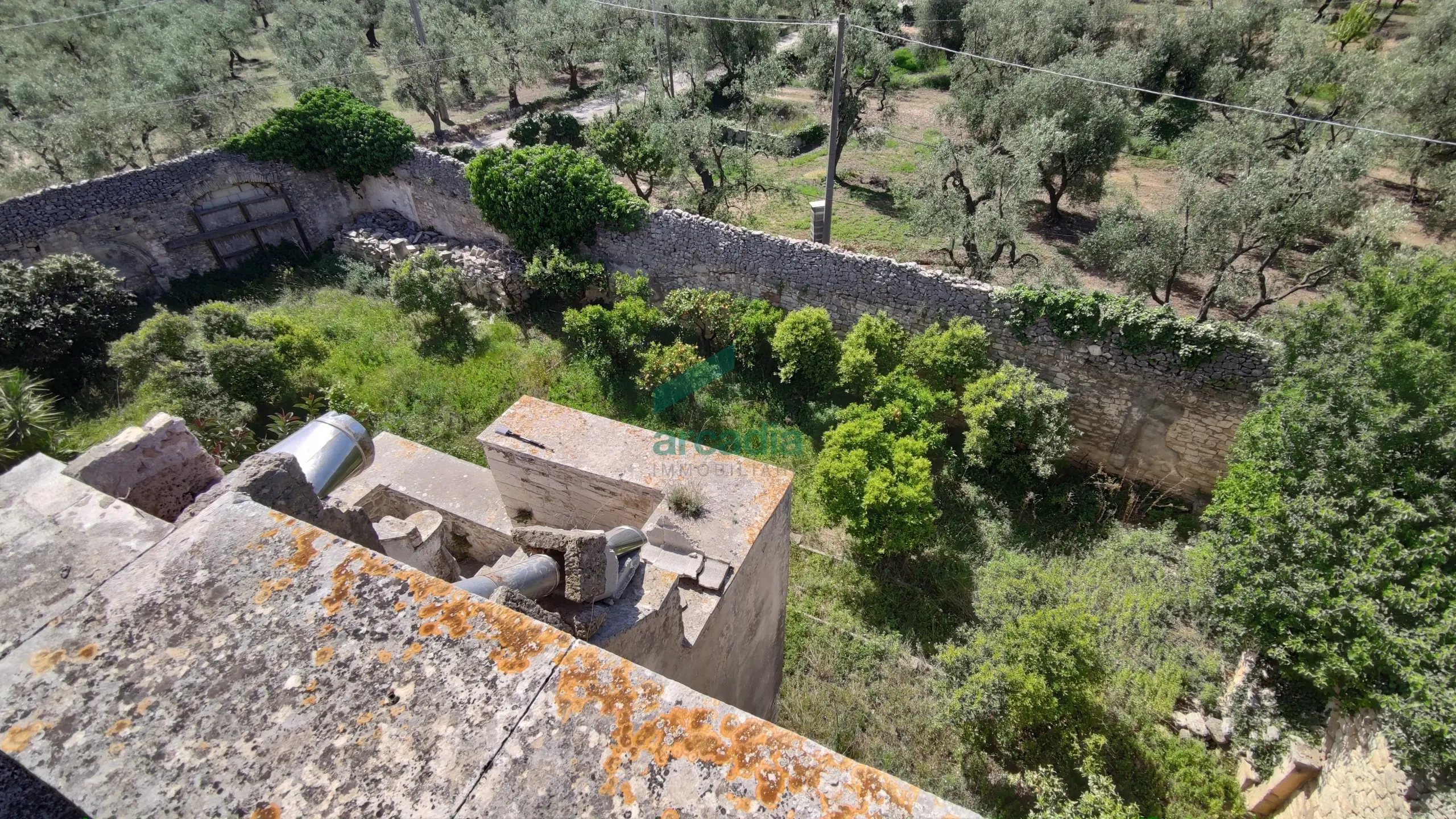 Immagine per Casale in vendita a Giovinazzo 12