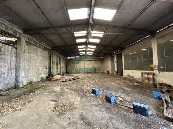 Immagine per Industriale in vendita a Bari strada Rurale Mammagnora 3