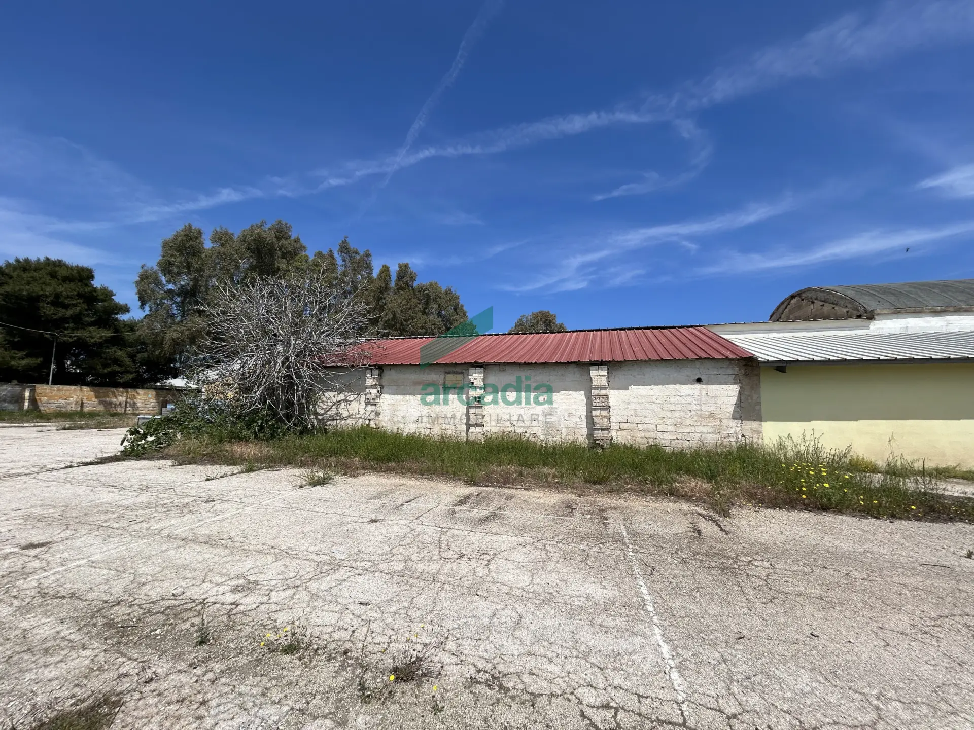 Immagine per Industriale in vendita a Bari strada Rurale Mammagnora 3