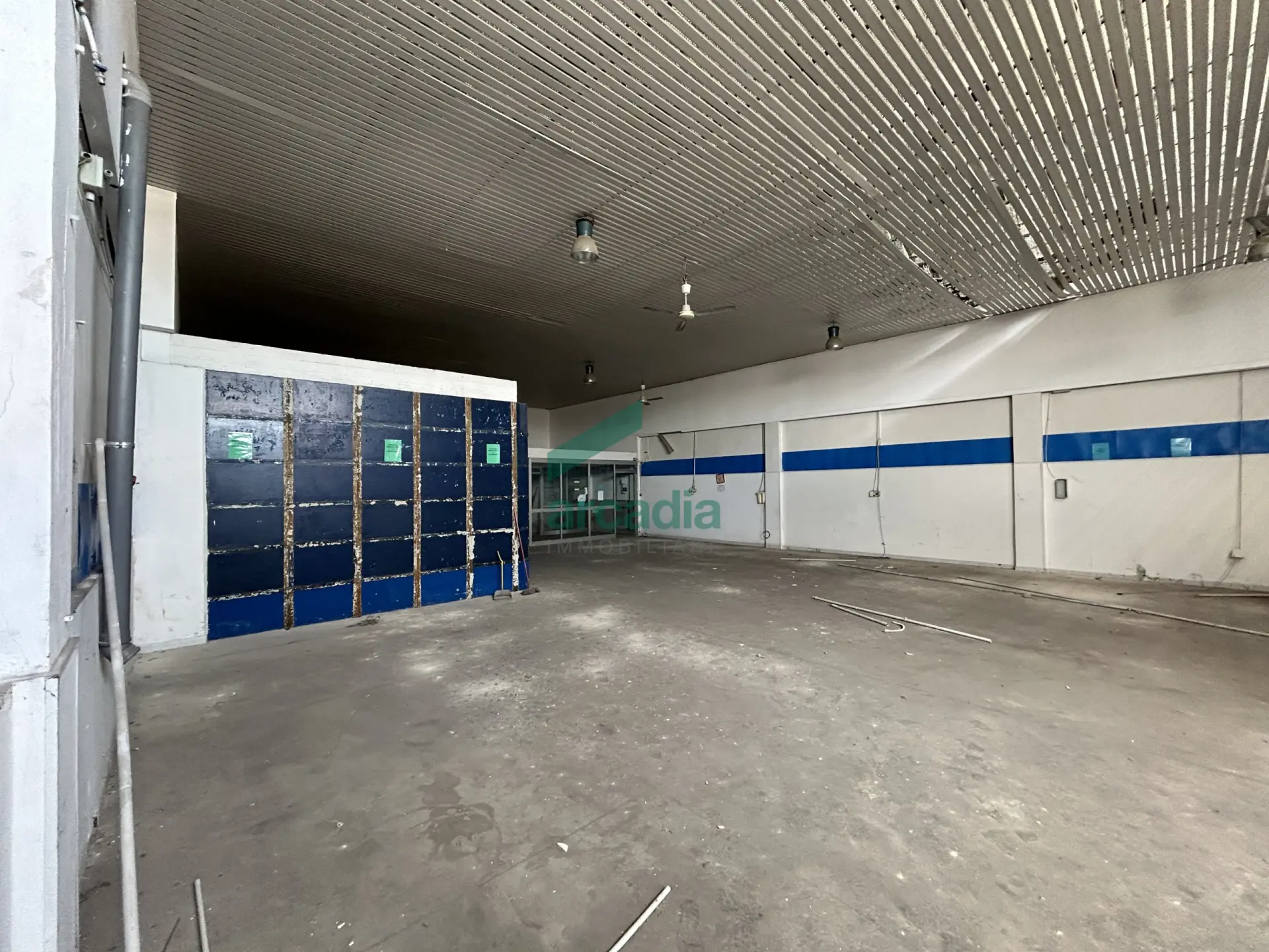 Immagine per Industriale in vendita a Bari strada Rurale Mammagnora 3
