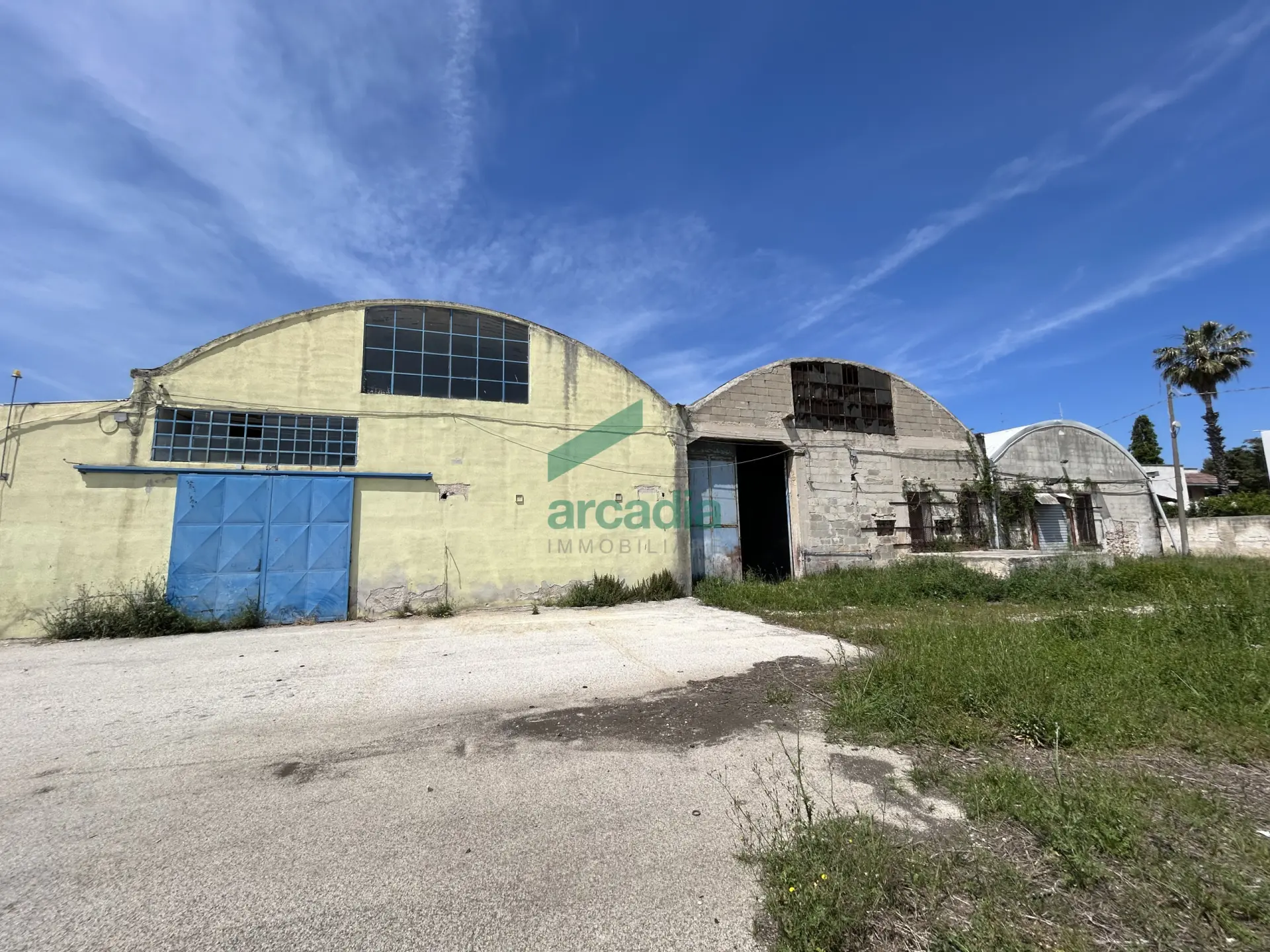 Immagine per Industriale in vendita a Bari strada Rurale Mammagnora 3