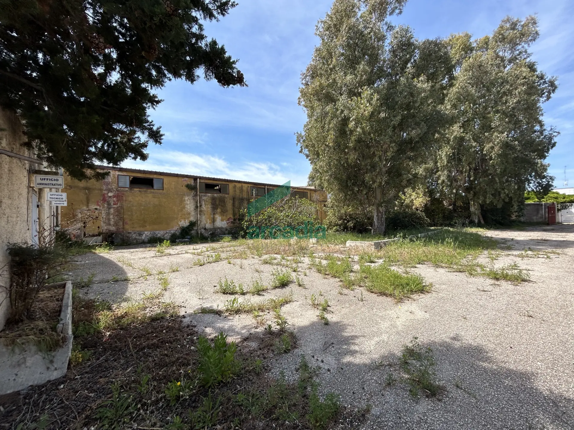 Immagine per Industriale in vendita a Bari strada Rurale Mammagnora 3