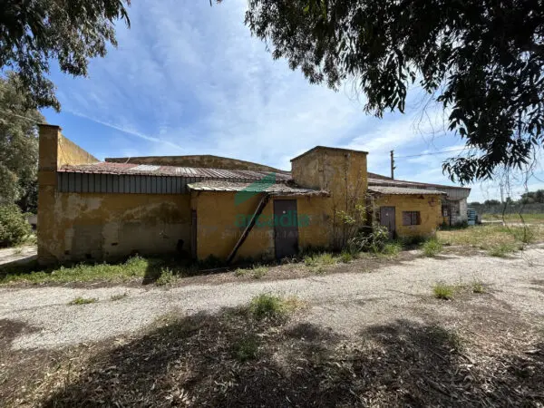 Immagine per Industriale in vendita a Bari strada Rurale Mammagnora 3