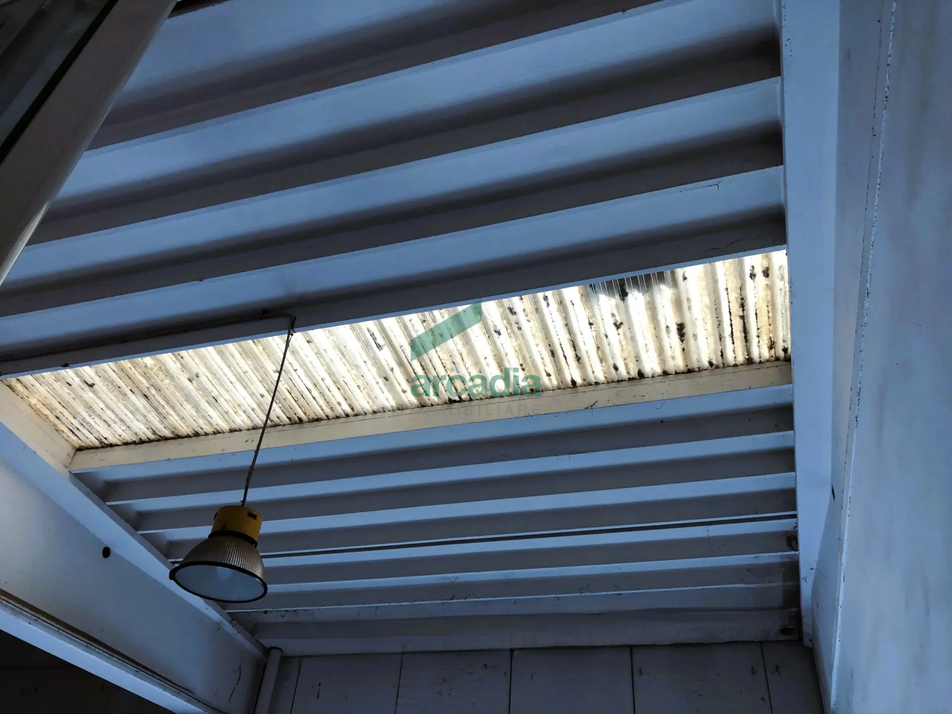 Immagine per Industriale in affitto a Bitonto via Sp 231