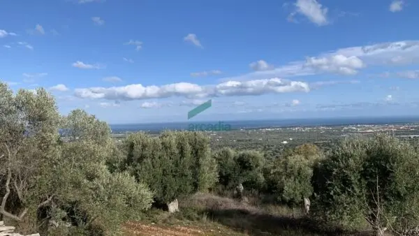 Casale via Contrada Torchiano, Monopoli