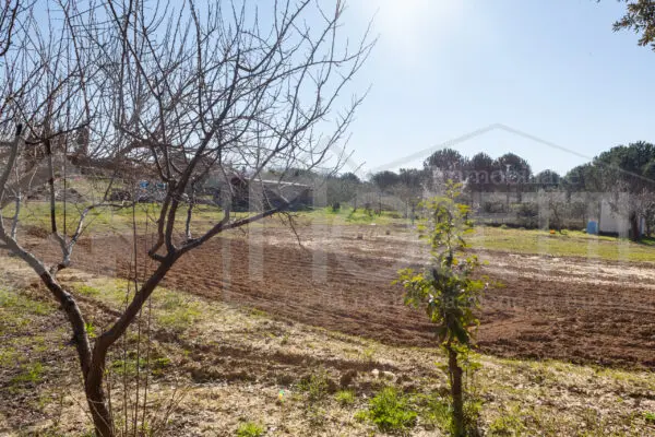 Terreno via Delle Sorgenti, Livorno