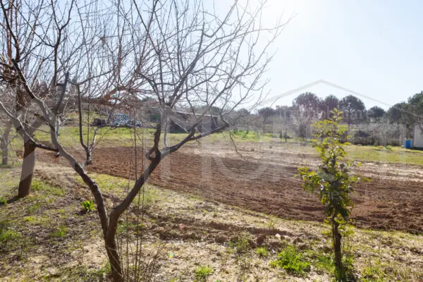 Terreno via Delle Sorgenti, Livorno