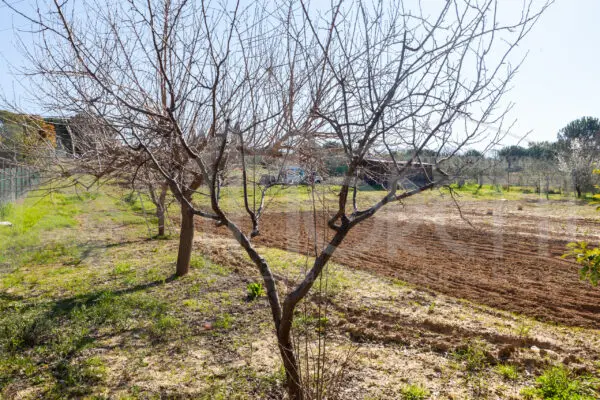 Terreno via Delle Sorgenti, Livorno