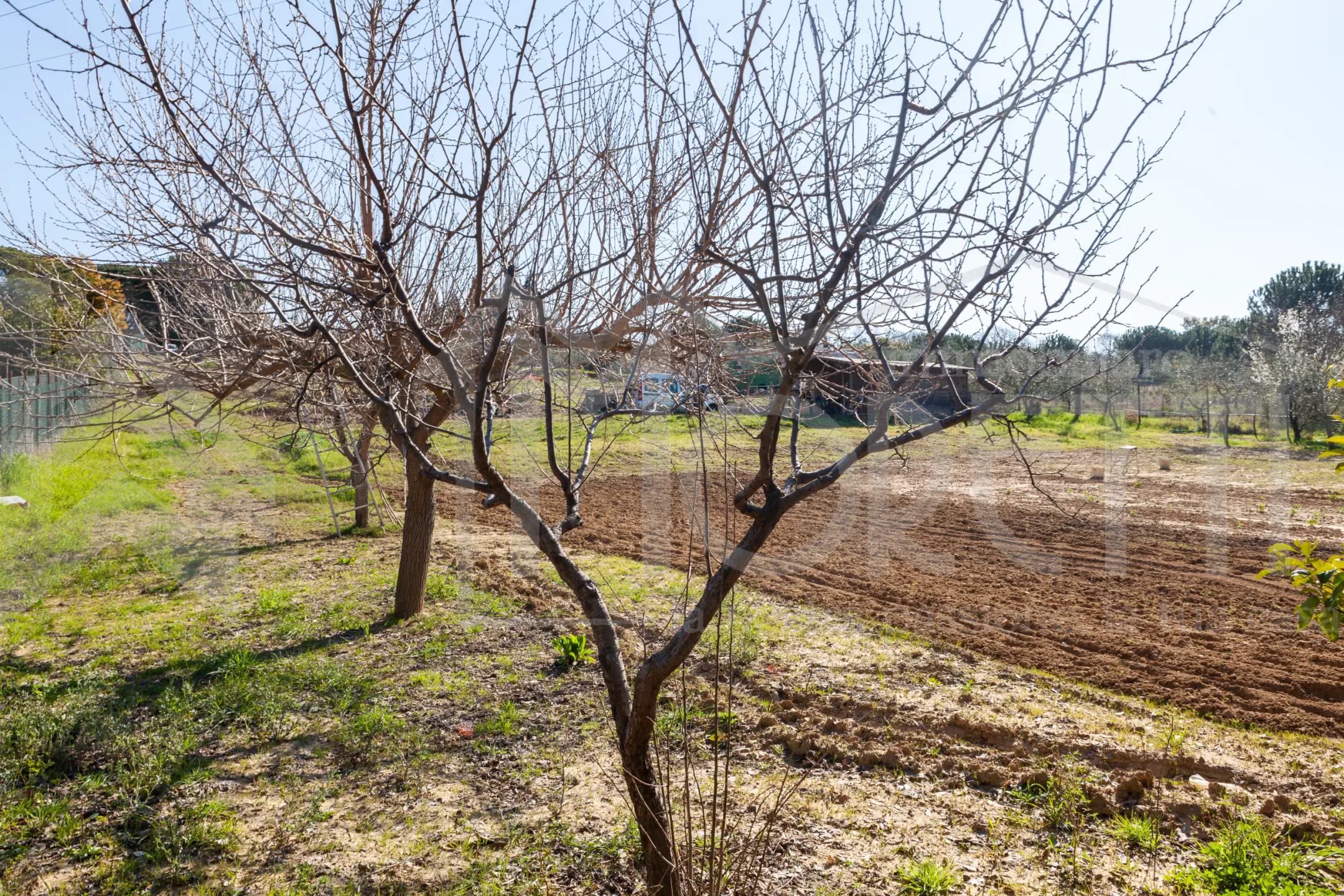 Immagine per Terreno in vendita a Livorno via Delle Sorgenti
