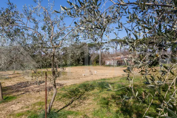 Terreno via Delle Sorgenti, Livorno