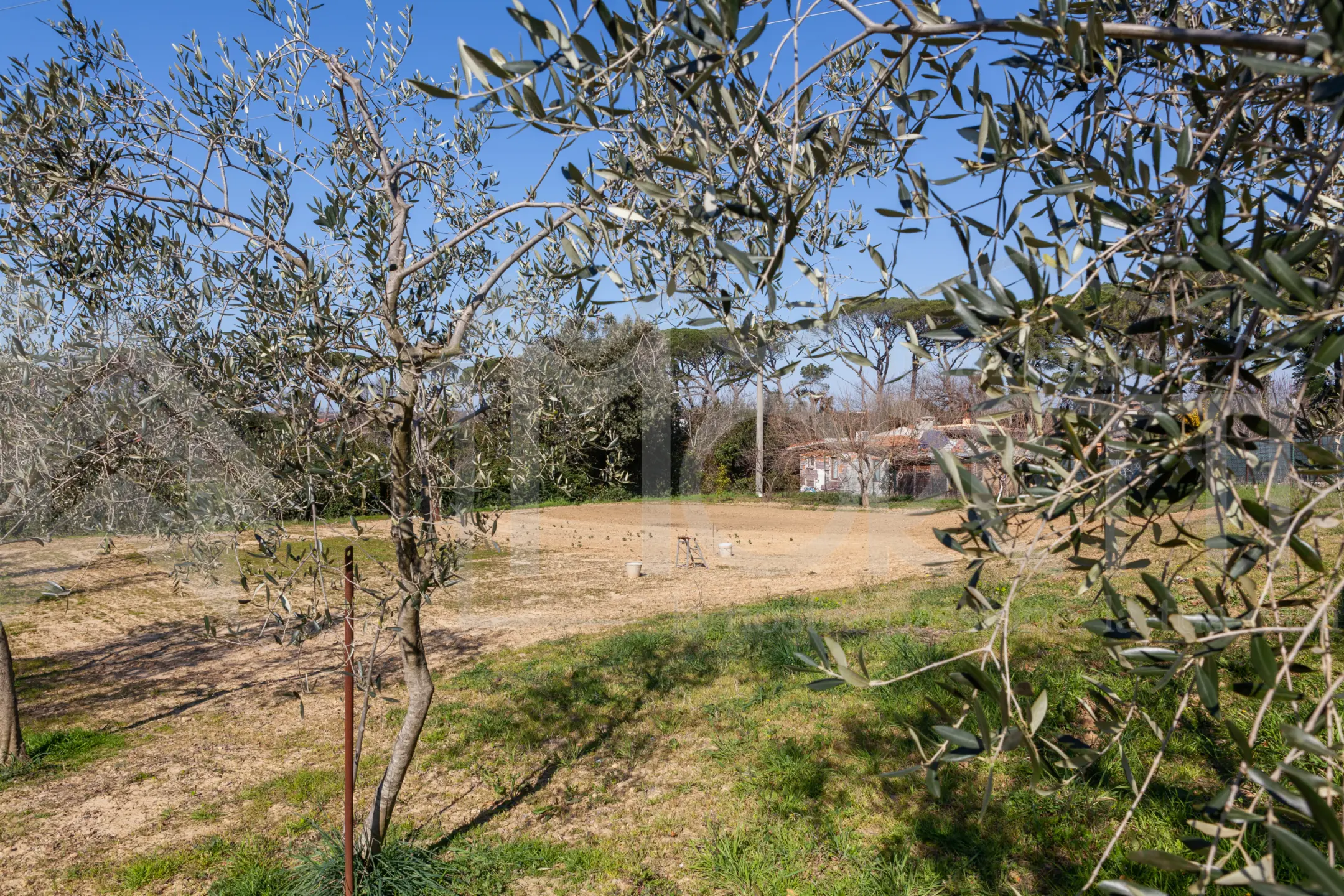 Immagine per Terreno in vendita a Livorno via Delle Sorgenti