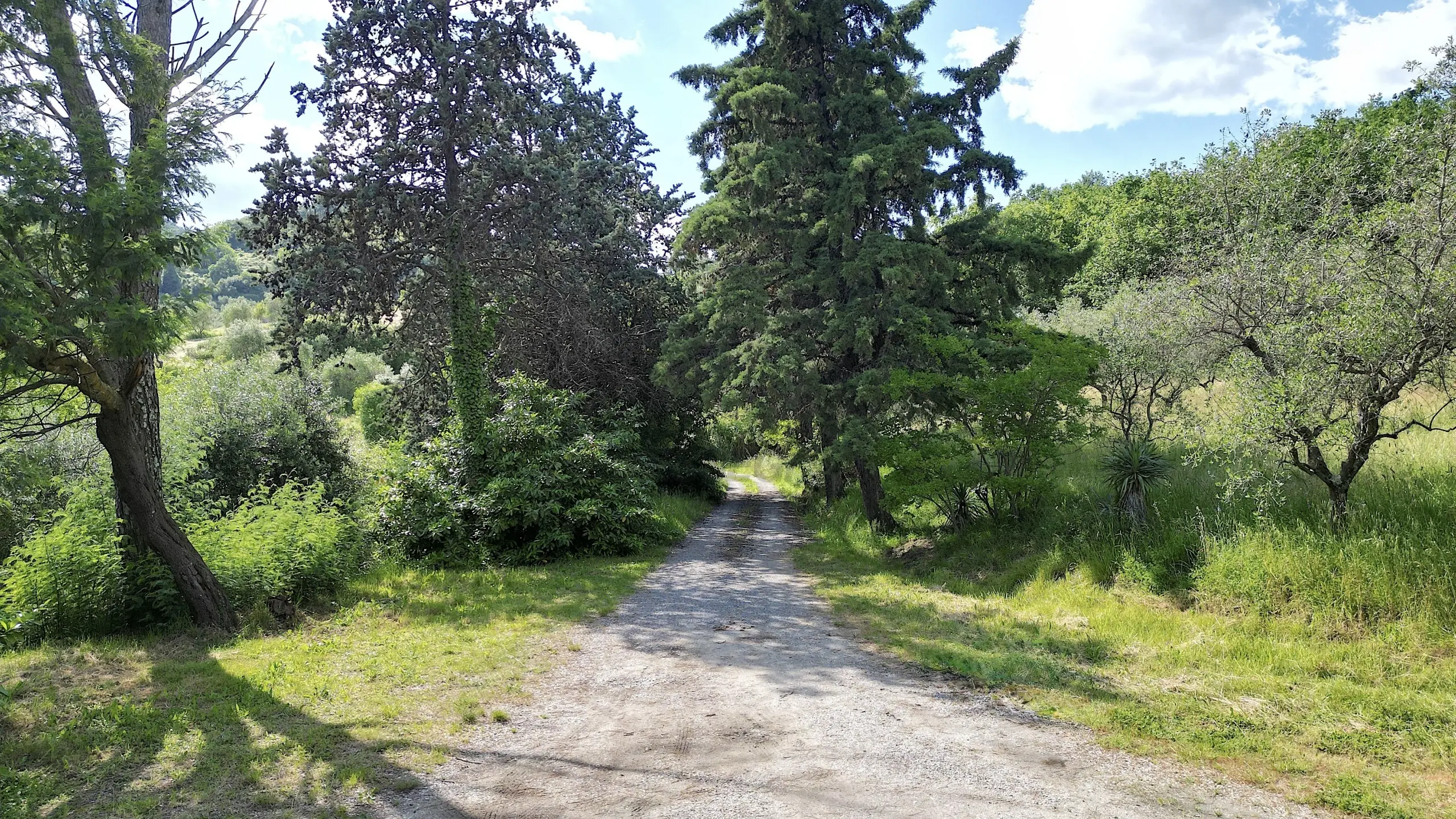 Immagine per Casale in vendita a Lucca via Della Chiesa Xxxi 536