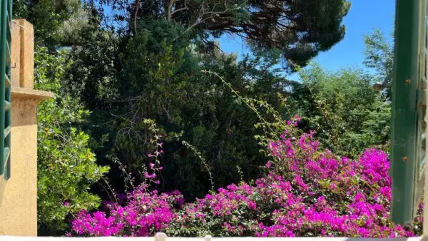 Casale via Località Monte 4, Porto Azzurro