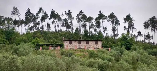 Casale via Don Aldo Mei, Buti