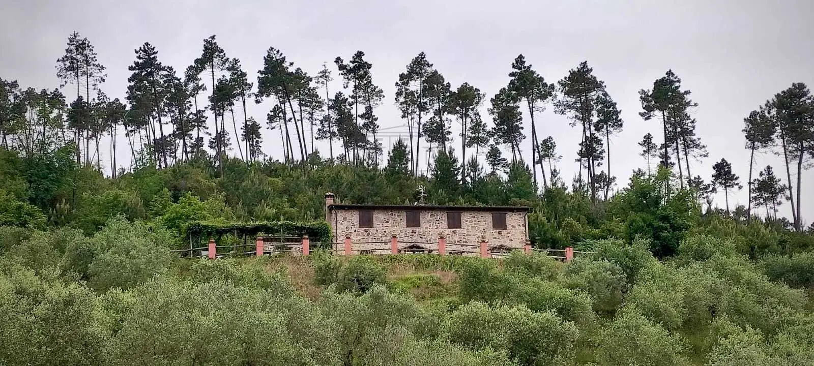 Immagine per Casale in vendita a Buti viadon Aldo Mei