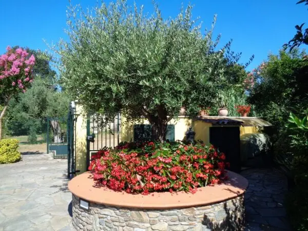 Villa via, Montignoso