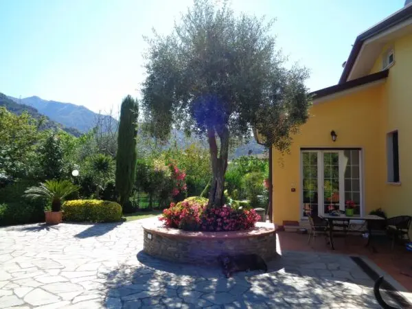 Villa via, Montignoso
