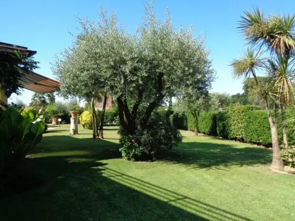 Villa via, Montignoso