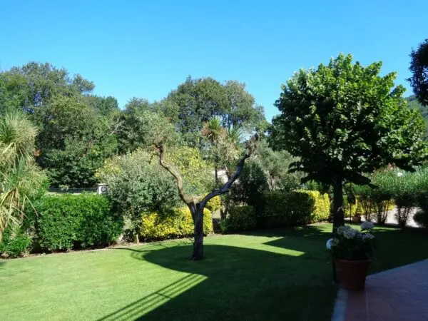 Villa via, Montignoso