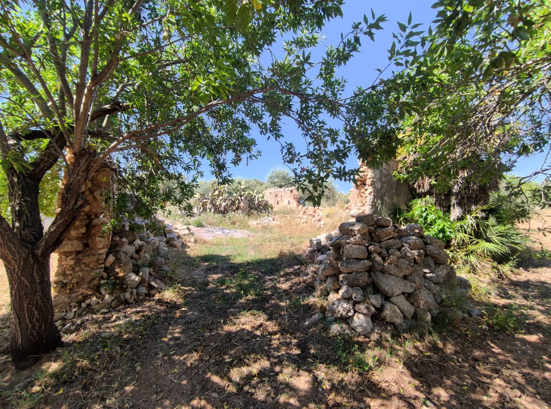Immagine per Rustico/Casale in vendita a Noto Contrada Volpiglia snc