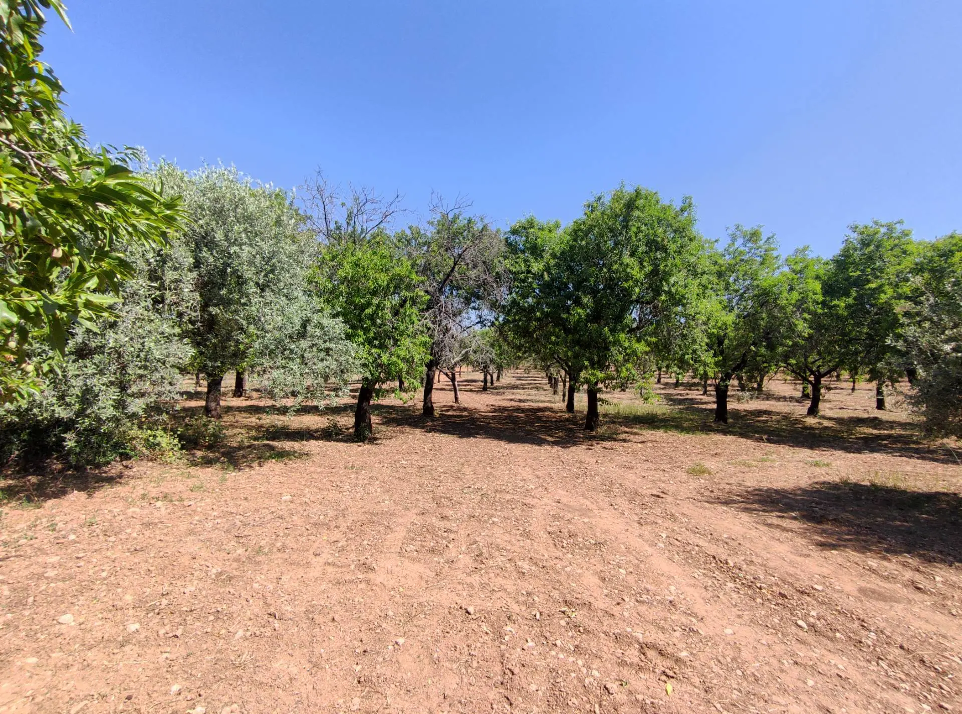 Immagine per Rustico/Casale in vendita a Noto Contrada Volpiglia snc